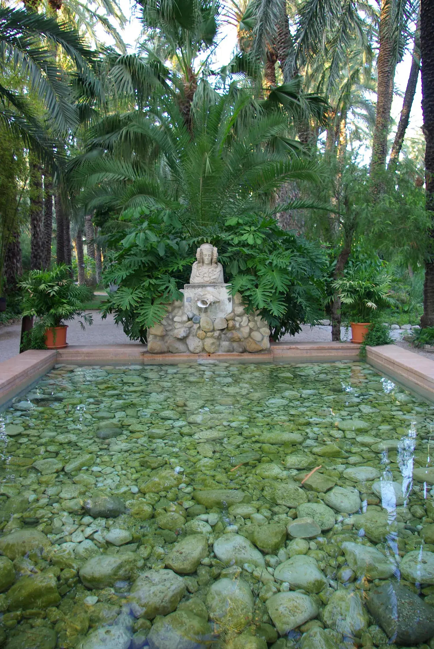 Bassin et fontaine entourés de palmiers dans le jardin du Huerto del Cura