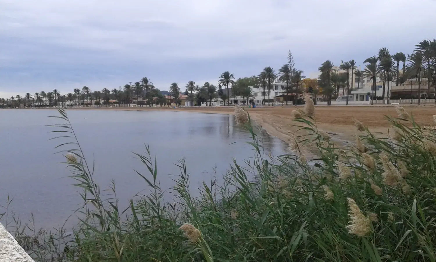 Rivage de Mar de Cristal au bord de la Mar Menor, avec roseaux et maisons