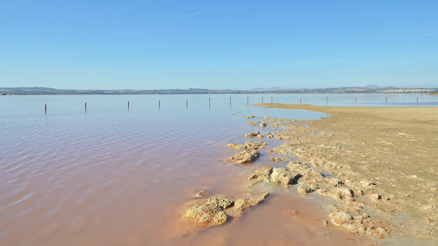 Rive de la lagune de Torrevieja avec son eau rosée et ses rochers de sel