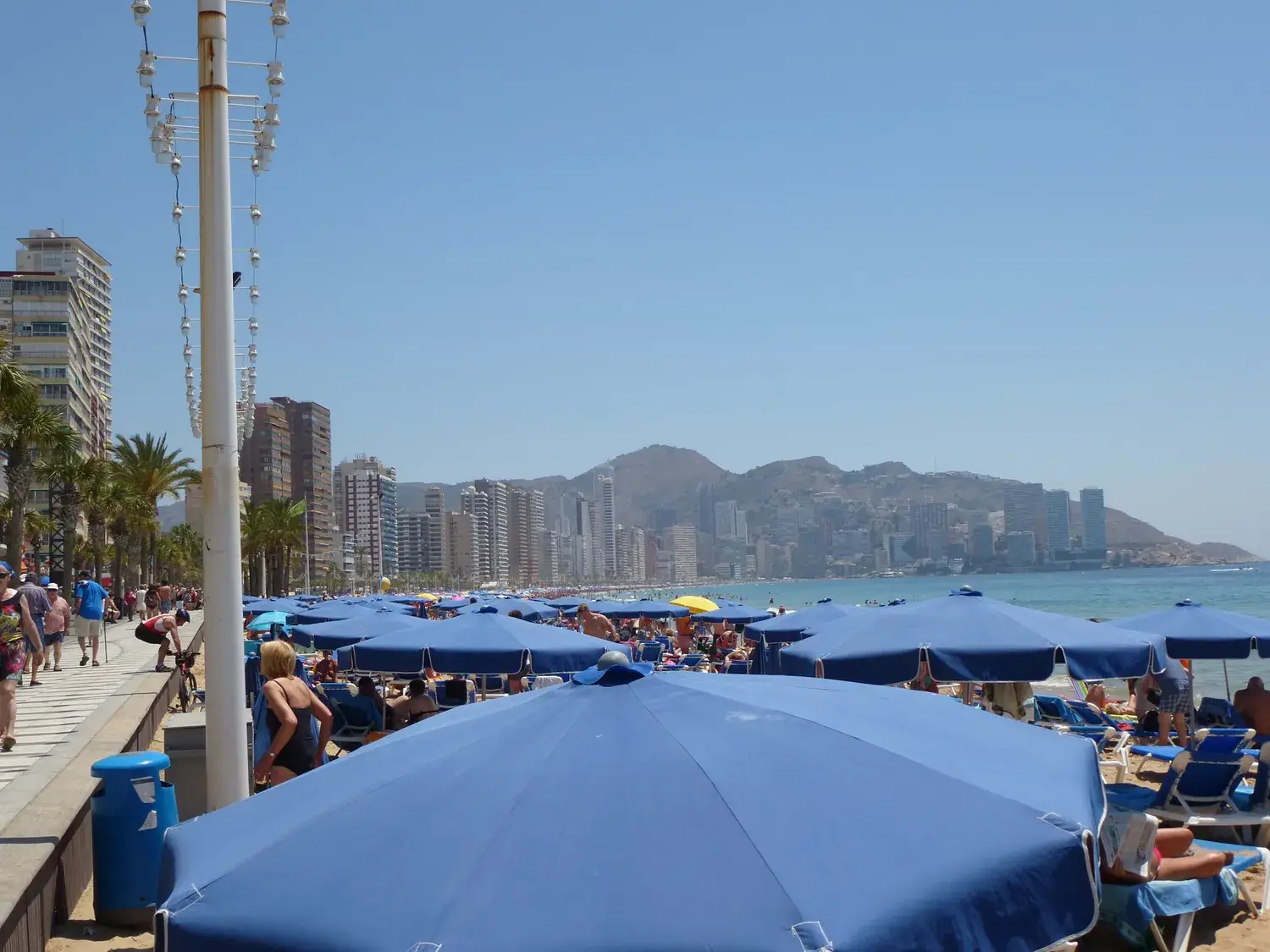 Parasols bleus alignés sur la plage de Benidorm avec la ville en arrière-plan