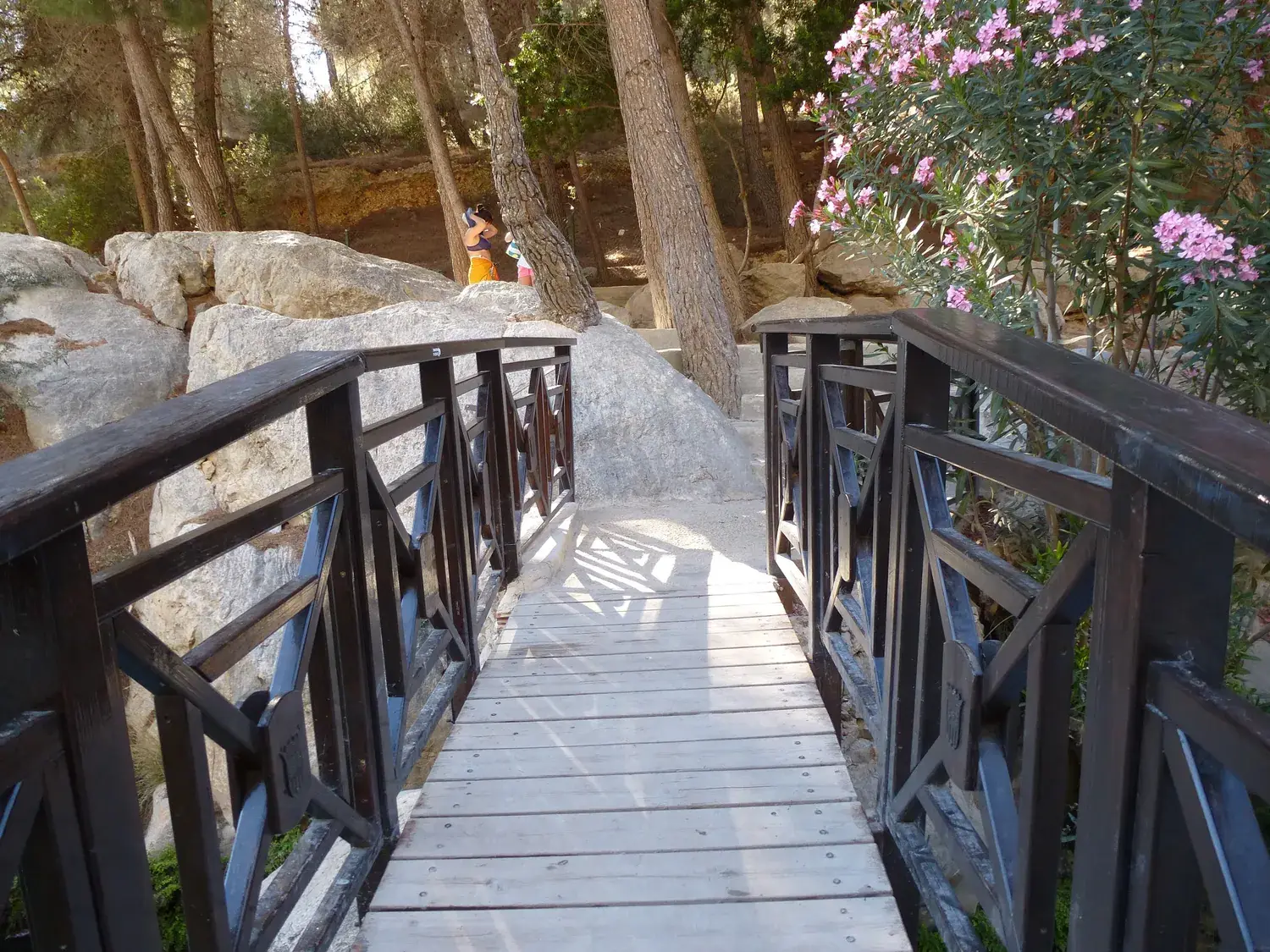 Passerelle en bois au-dessus de la rivière sur le sentier des Fonts de l’Algar