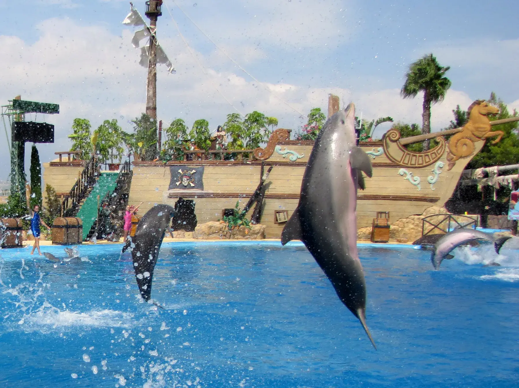Dauphins sautant hors de l’eau pendant la présentation de Mundomar, devant un décor de galion