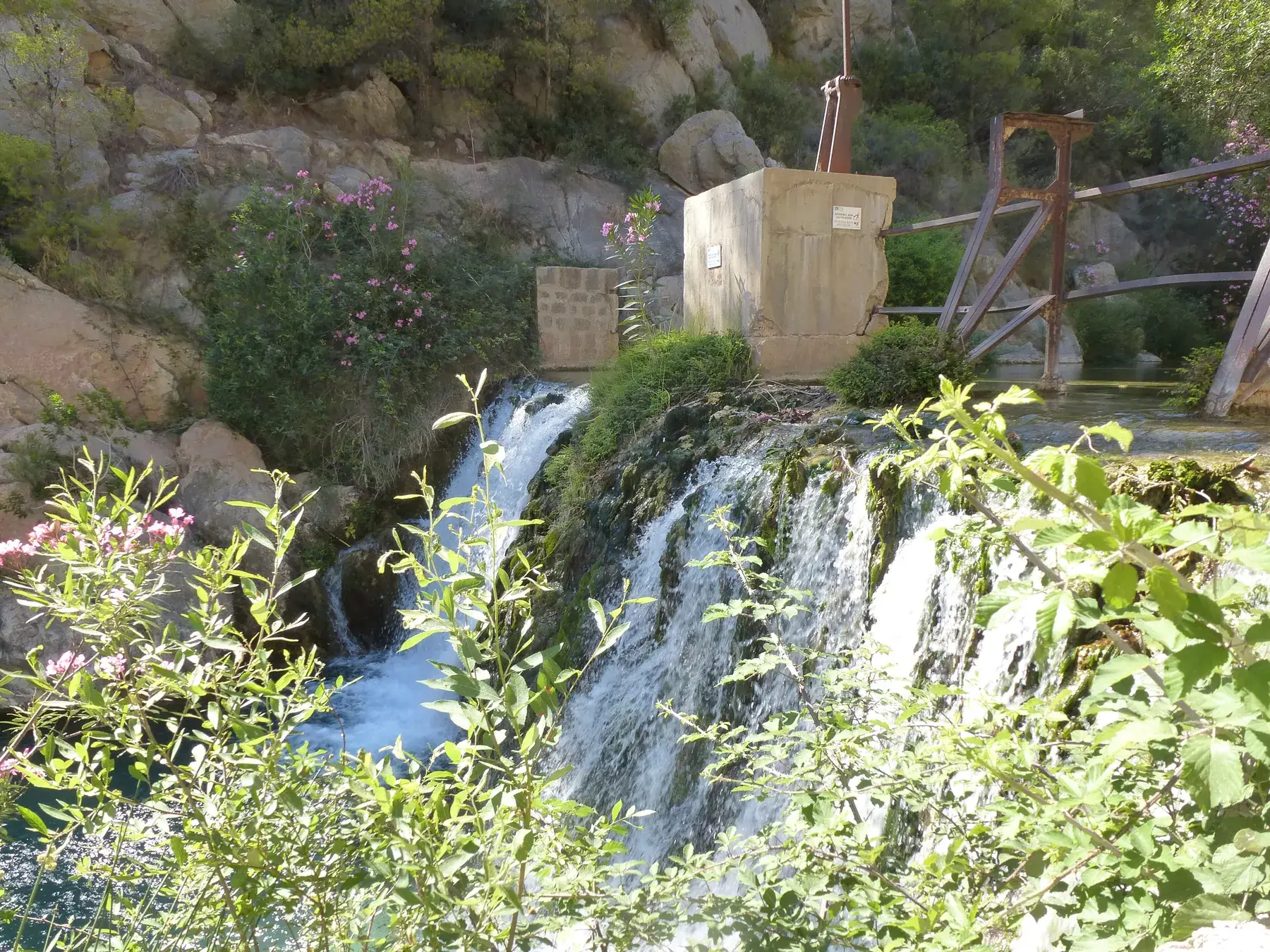 Cascade blanche dévalant les rochers entre la végétation aux Fonts de l’Algar