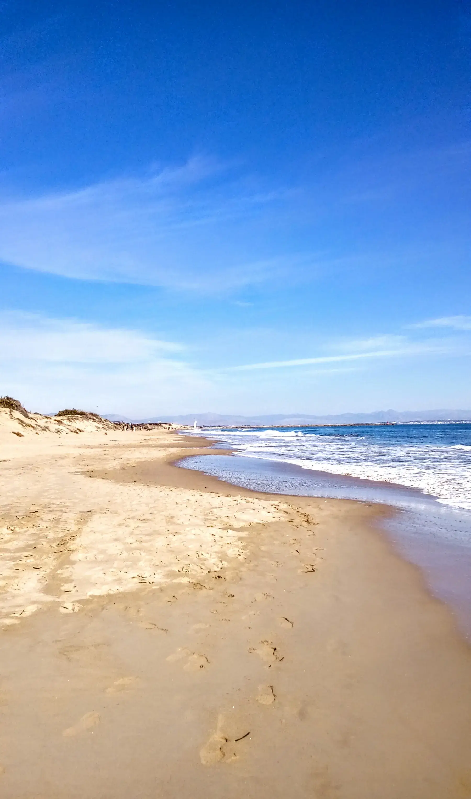Dunes de sable fin et végétation au bord de la plage de Guardamar sous un ciel bleu